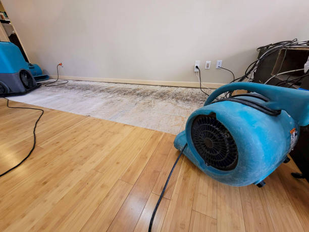 Professional Basement Flood Cleanup technician working in Wesson, MS