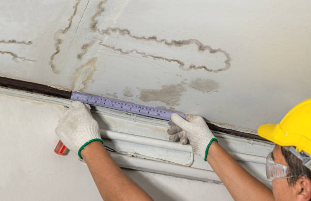 Affordable Basement Flood Cleanup solutions in Wesson, MS